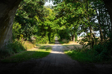 Asphalt cycling path through the green fields at the Danish countryside Rodby, Lolland, Denmark