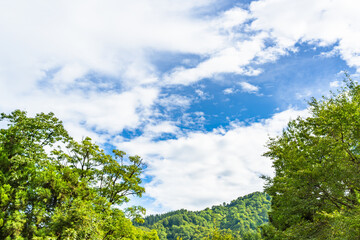 林の間から見る青空と薄雲、山の稜線