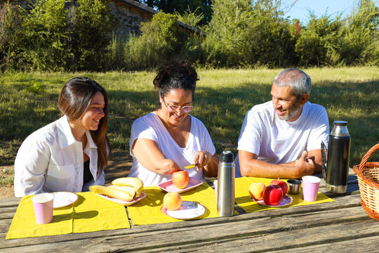 Woman with arm amputation enjoying picnic with family