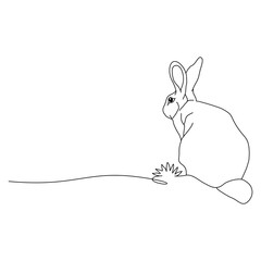 bunny line art .eps