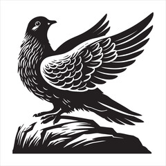 Obraz premium Rock Dove Silhouette, Pigeon Bird Clipart - Rock Dove head tilted Illustration in black and white