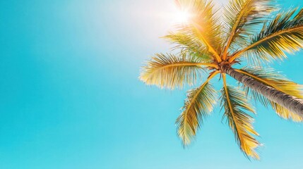 Tropical sun shining brightly over a palm-lined beach, warm weather, summer vibes