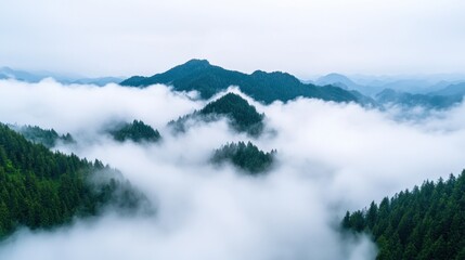 Fog rolling through a mountain pass, foggy weather, mysterious and silent