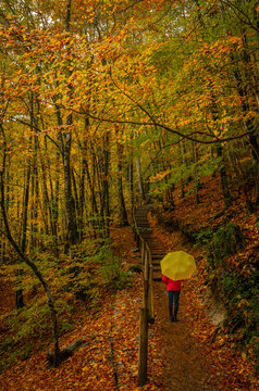 Back view of woman hiking in the Cascades du Herisson