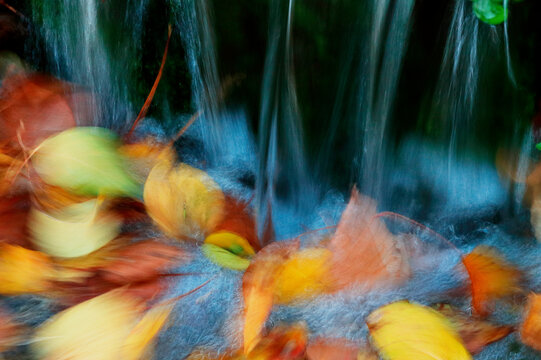 Autumn leaves dancing in a serene waterfall