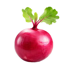 red radish isolated on white