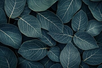 Obraz premium Close-Up of White-Veined Dark Green Leaves