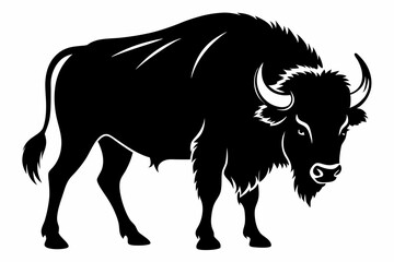 Buffalo Silhouette Vector Illustration