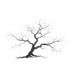 Fototapeta premium dead tree on white background