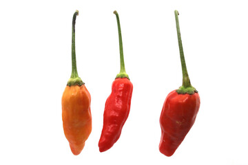 A group of fresh cayenne peppers, also known as Cabai rawit, cili padi, siling labuyo, phrik khi nu, Tabasco chili pepper, or bird's eye chili pepper, arranged in a row, isolated on a white background