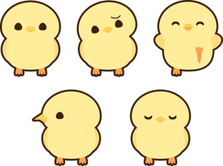 ひよこ　フチあり