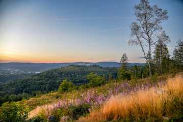 Landschaft bei Suhl im Thüringer Wald 