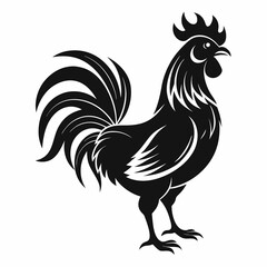 Hen Silhouette Vector Illustration, Chicken on white background