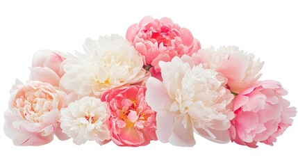 Fototapeta premium A bouquet of peony flowers in various shades of pink and white, artfully displayed on a white background, perfect for a floral-themed concept.