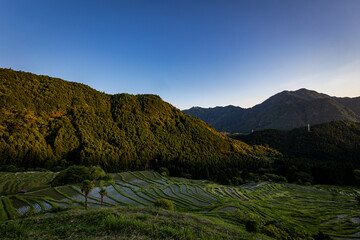 夕暮れ時の丸山千枚田