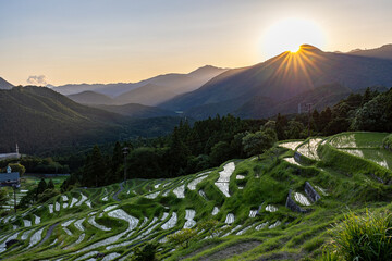夕暮れ時の丸山千枚田