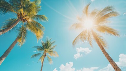 Obraz premium Beneath the Tropical Canopy: A Vivid Display of Lush Palms Illuminated by Brilliant Sunlight Against a Clear Sky, Invoking a Sense of Relaxation and Tranquility.