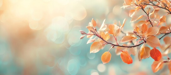 Obraz premium Golden Harvest Banner