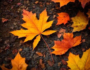 Fototapeta premium Autumn Blaze