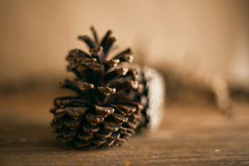 Close up pine cones on beige background