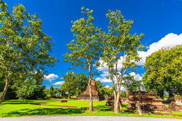 Background of various species of trees growing on the foot of the mountain, on the high rocks on the mountain top, beautiful ecosystem, fresh air.