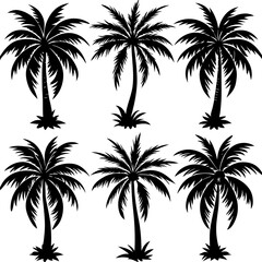 palm tree silhouettes,set of palm tree 