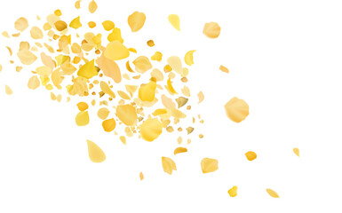 Yellow falling rose or sunflowers petals.Transparent panoramic horizontal background.Amber flower spring template.