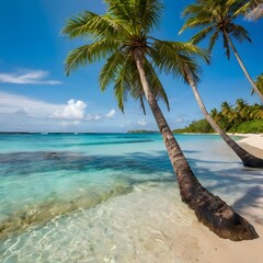 beach with palm trees