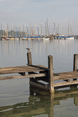 a jetty on Lake Ammersee in Bavaria with sailing boats and a seagull