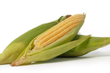 Sweet Corn Isolated on White Background