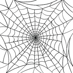 Obraz premium spider web for halloween decor. hand drawn vector illustration.