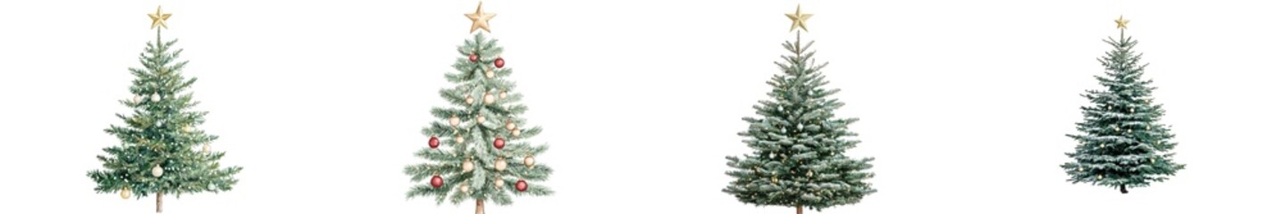 Fototapeta premium Christmas trees with varying sizes, decorated with ornaments, lights, and stars on top, cut out transparent isolated PNG