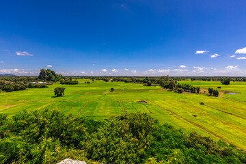 Background of a religious tourist attraction in Phitsanulok, Thailand, Wat Pa Rang Mi Wanaram, with a large Buddha statue on a mountain, overlooking the surrounding green rice fields.