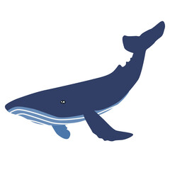 Vector cute cartoon blue whale isolated on white background