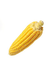 Sweet Corn Isolated on White Background