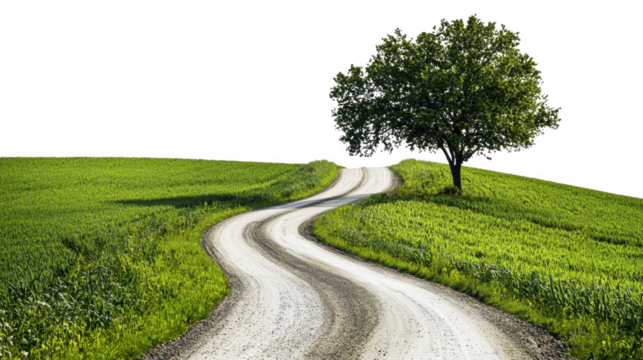 Winding dirt road through vibrant green fields, solitary tree on hillside cut out transparent isolated on white background PNG