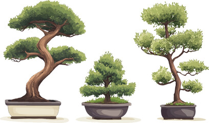 Three bonsai trees in different styles, vector illustration on a white background