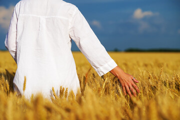 Young beautiful woman in a white dress on a Golden wheat field admiring the harvest.
