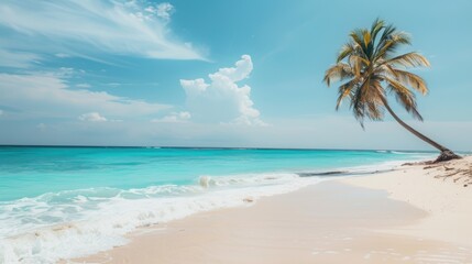 Tropical beach with coconut palm trees and turquoise sea.