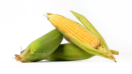 Sweet Corn Isolated on White Background