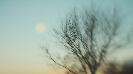 Blurred background of a tree with a pastel sky, blurred foreground of the moon in the distance, soft focus photography, dreamy atmosphere, light teal and dark beige, minimalist