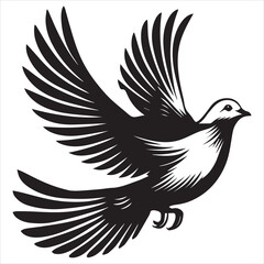 Obraz premium Mourning Dove Silhouette - Zenaida macroura Clipart - Mourning Dove mid-flight Illustration in black and white