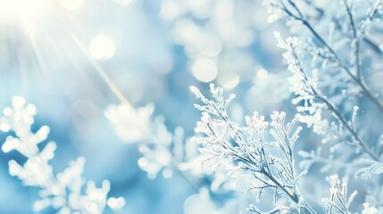 Minimalist Frosty Glass Texture Background