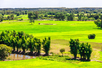 Obraz premium Close-up wallpaper view of nature (mountains, rivers, mangroves), the blurring of the wind blowing through the leaves, the beauty of the ecosystem while traveling