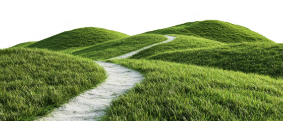 Serene hills, a winding dirt path meanders through lush green grass cut out transparent isolated on white background PNG