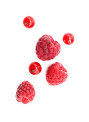 Red raspberries and currants close-up. Effect of falling berries. Composition of ripe fruits with...