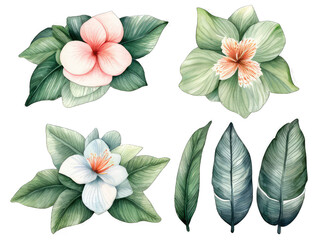 Fototapeta premium pink lily flowers,bouquet of flowers isolated,set of leaves and flowers,lily of the valley,bouquet of flowers