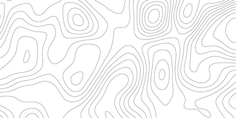 Mapping in White: The Topographical Topology of Vectors