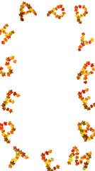 September lettering text from of colorful autumnal maple leaves on white background with space for text. Top view, flat lay