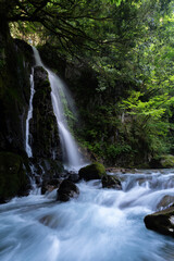 美しい滝のある風景